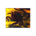 Octopus Art Poster — Dark Nautical Wall Print (Satin & Archival Matte)